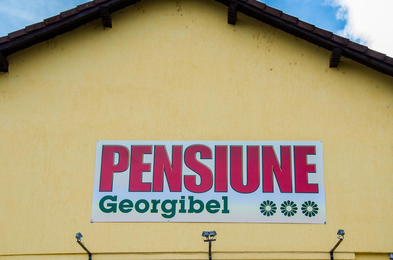 דבה Pensiunea Georgibel מראה חיצוני תמונה